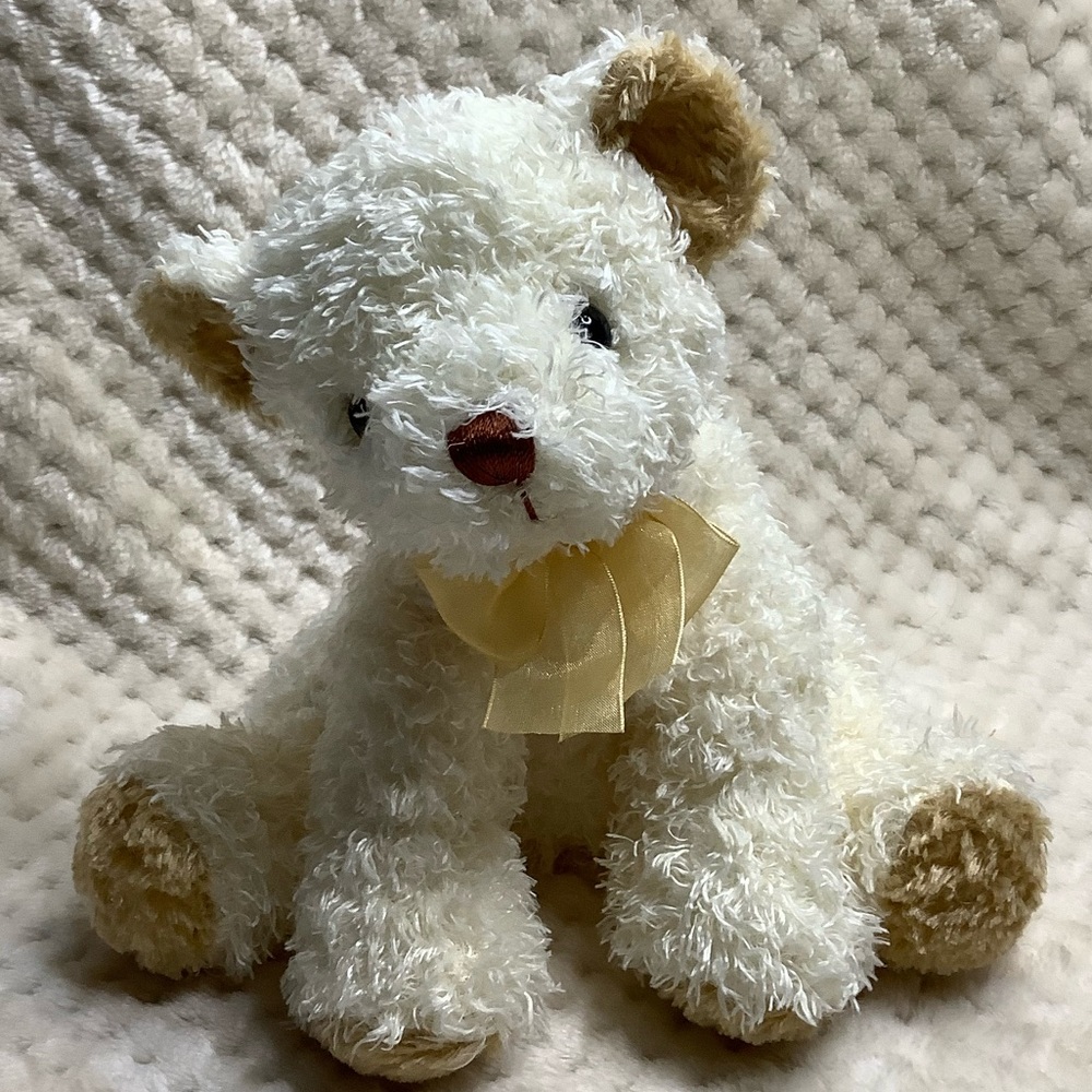 TD Canada Trust Plush Bear Childrens Miracle Network Stuffed Animal Bear Lane